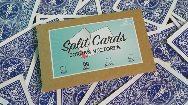 Split Cards 15 ct. (Blue) - PCTC