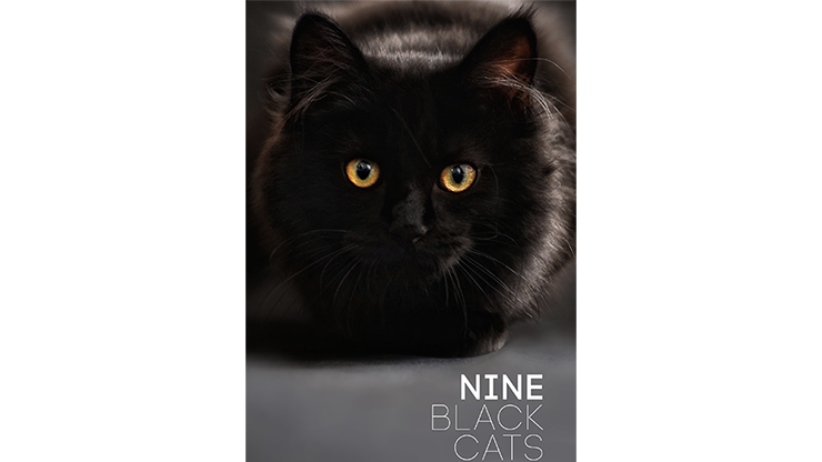 Nine Black Cats by Neema Atri eBook DOWNLOAD