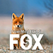 FOX by Esya G video DOWNLOAD