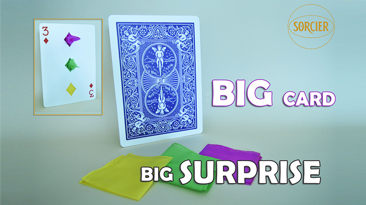 BIG CARD  BIG SUPRISE - Sorcier