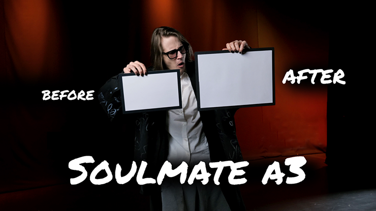 Soulmate (Large A3 size) - Hide & Sergey Koller