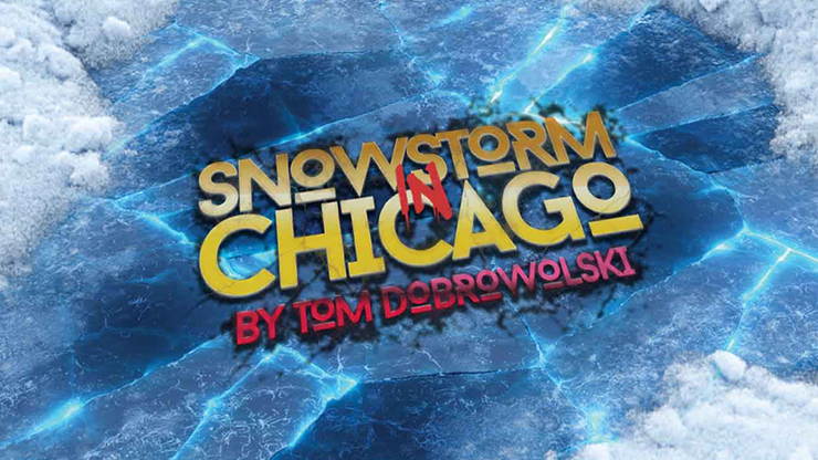 Bigblindmedia Presents Snowstorm In Chicago (Red) - Tom Dobrowolski