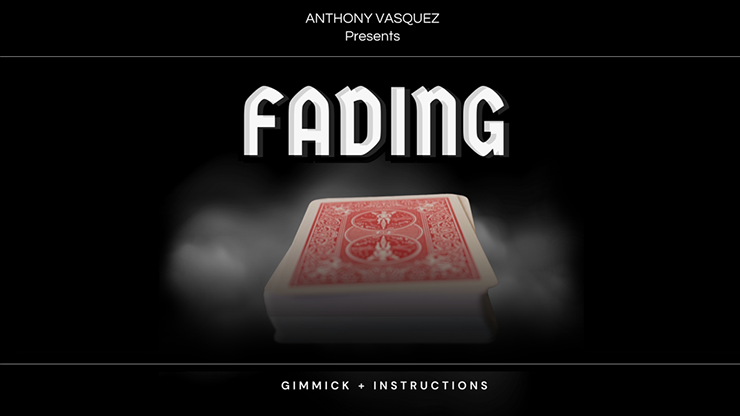 Fading (Red) - Anthony Vasquez