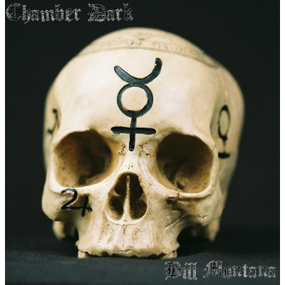 Chamber Dark - Bill Montana - eBook