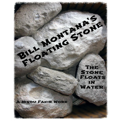 Floating Stone - Bill Montana - eBook